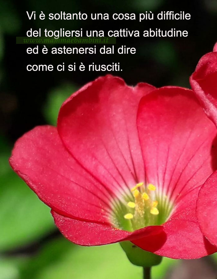 frase cattiva abitudine