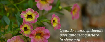 frase essere sfiduciati