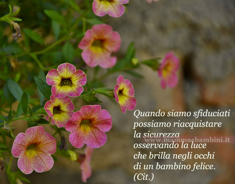 frase essere sfiduciati