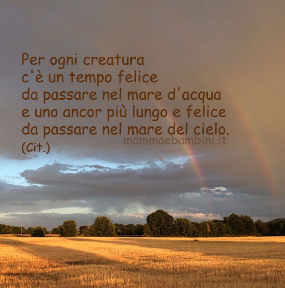 frase felice