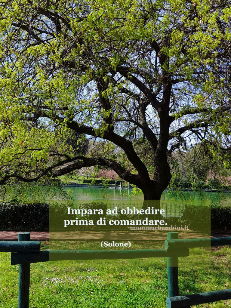 Frase del giorno 17 ottobre su obbedire 1 frase obbedire