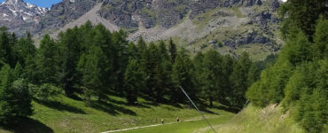 Frase del giorno 8 ottobre sulle scuse 6 frase scuse