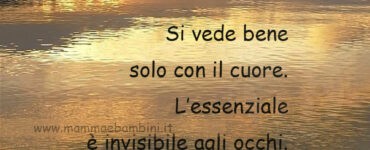 frase vedere