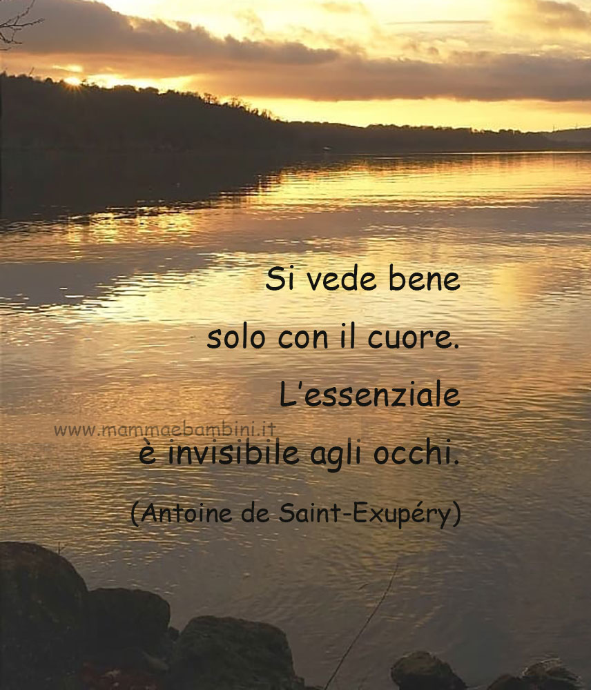 frase vedere