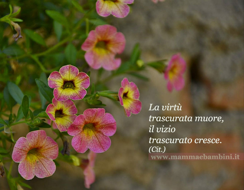 Frase del giorno del 9 ottobre 1 frase virtu