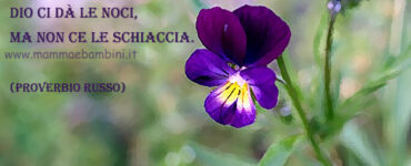 frase vita 1