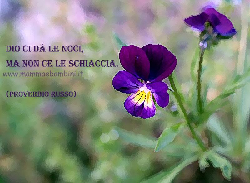 frase vita 1