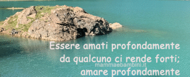 frase amare