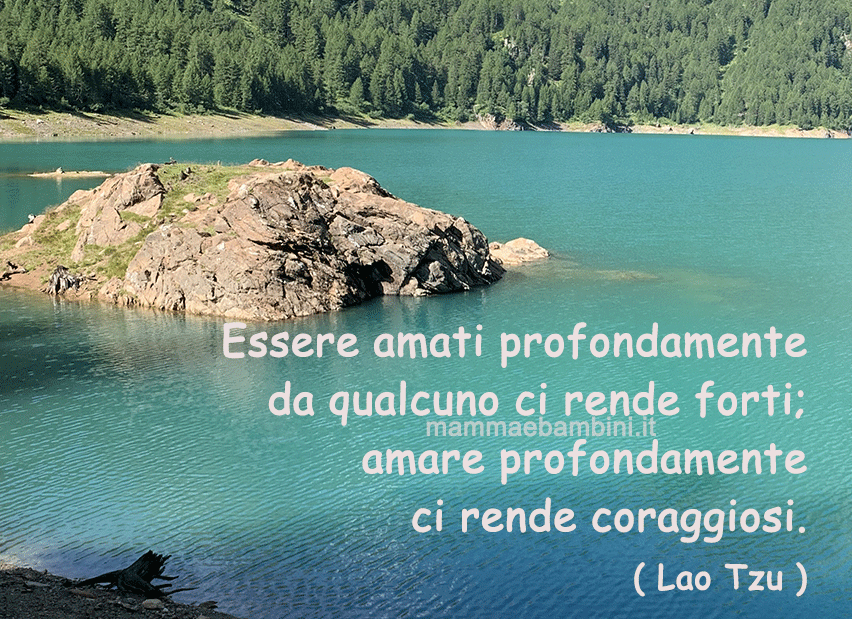 frase amare