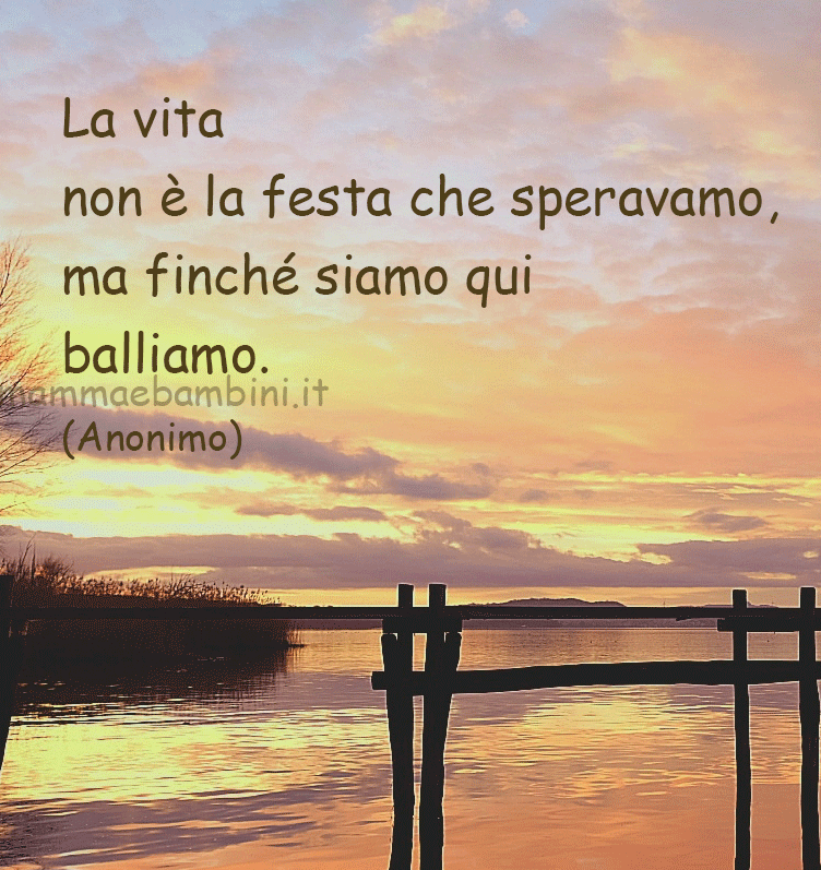 Frase del giorno 21 novembre su vita 1 frase vita