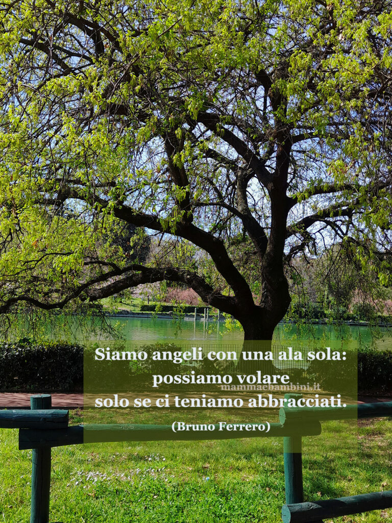 Frase del giorno 25 gennaio sugli abbracci 1 frase abbracci