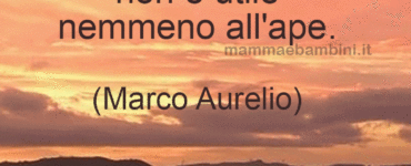 frase api