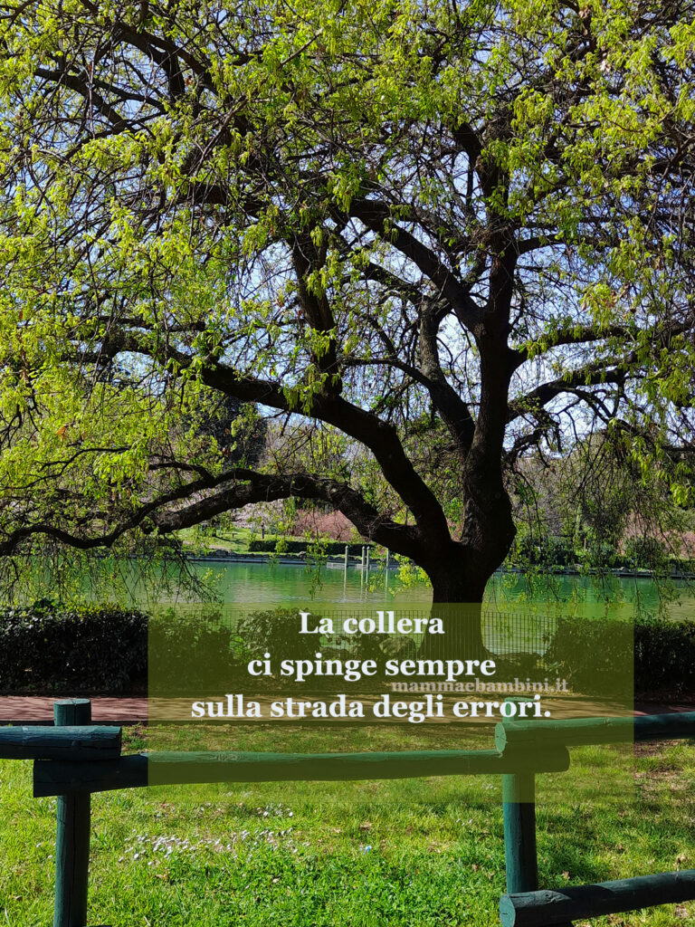 Frase del giorno del 15 gennaio 1 frase collera