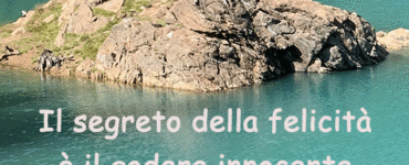 frase del giorno felicita
