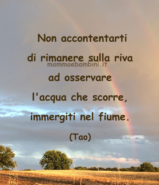 Frase del giorno 13 gennaio sulla vita 1 frase del giorno vita