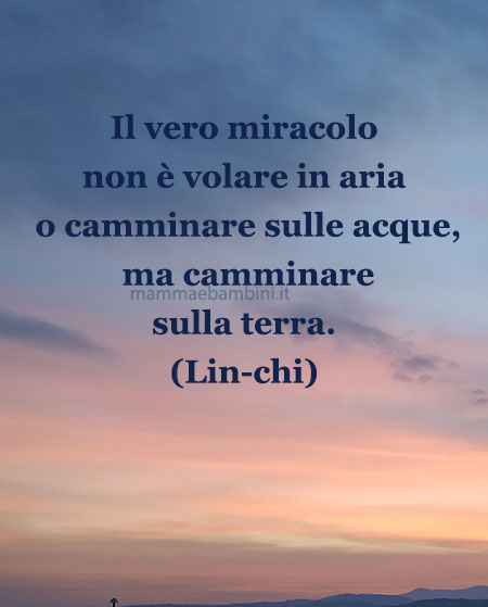 Frase del giorno 14 gennaio su vivere 1 frase del giorno vivere
