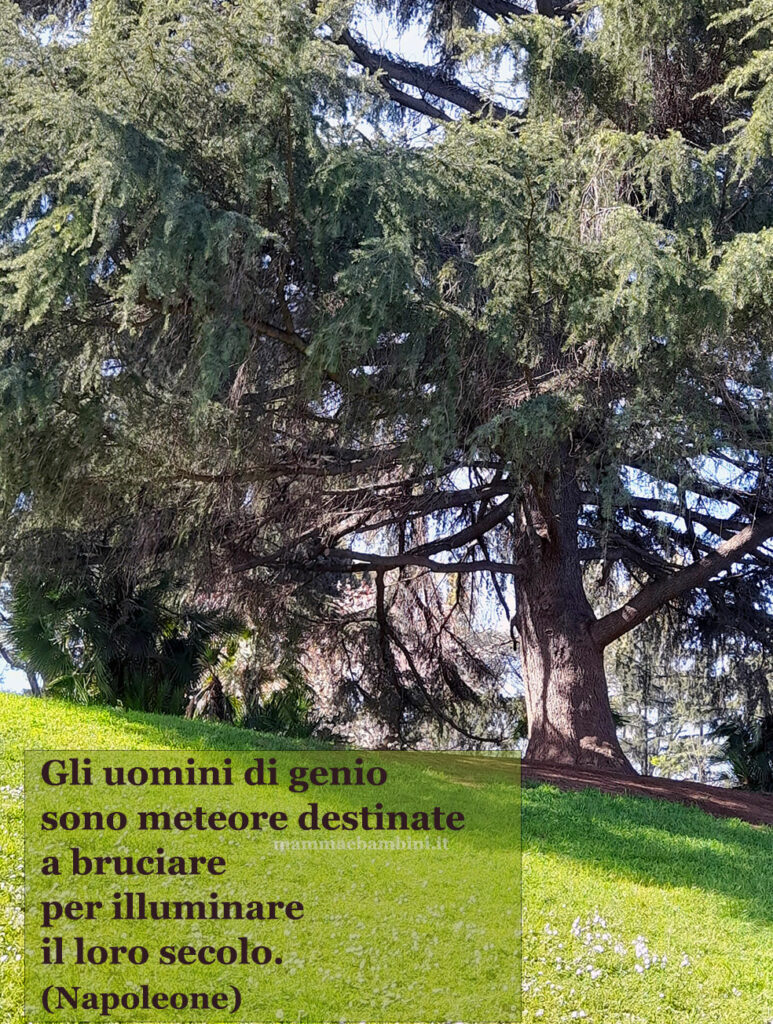 Frase del giorno 25 gennaio 1 frase geni