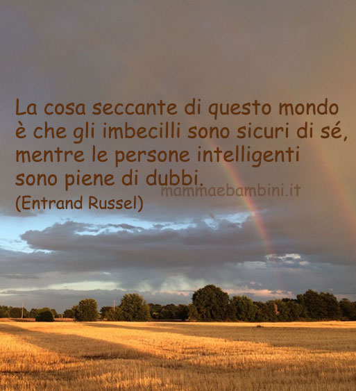 Frase del giorno 25 gennaio sugli imbecilli 1 frase imbecilli