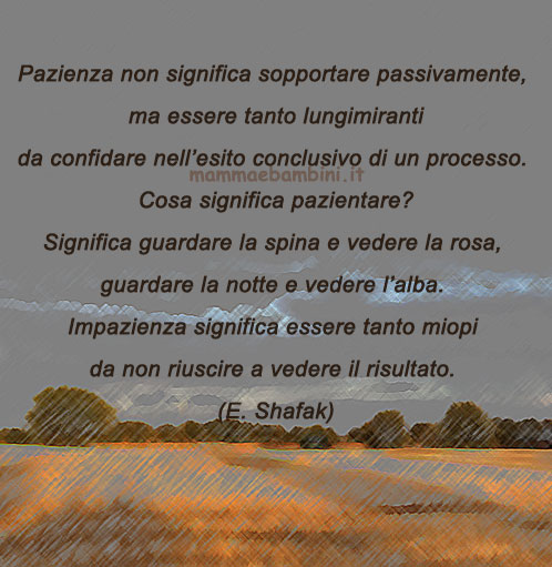 frase pazienza 1