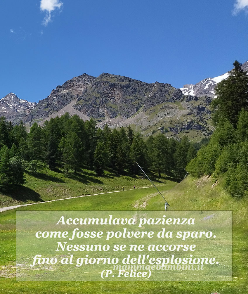 Frase del giorno 24 gennaio sulla pazienza 1 frase pazienza