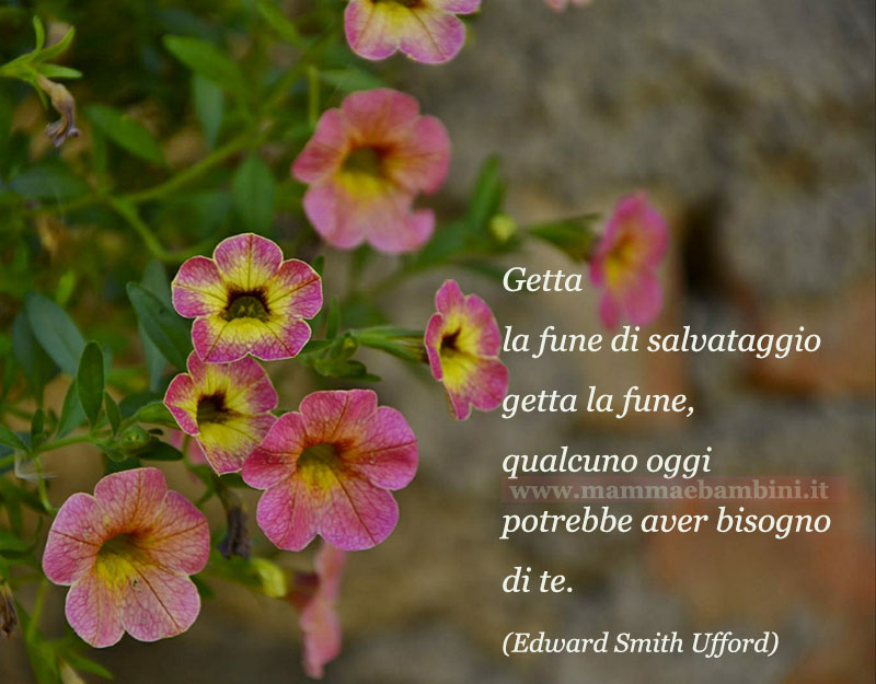 Frase del giorno 18 gennaio 1 frase salvataggio