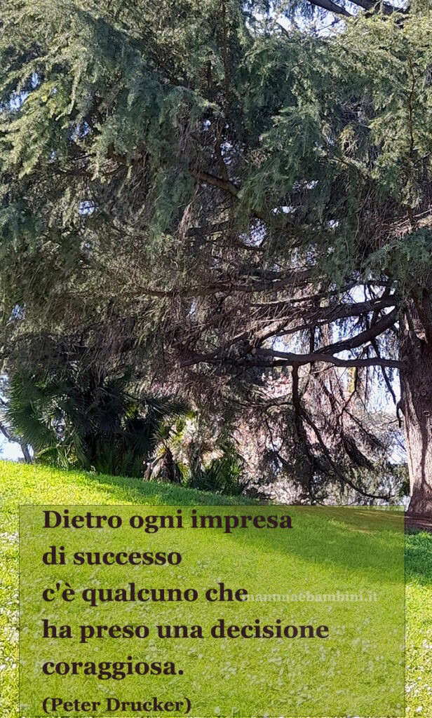 frase successi