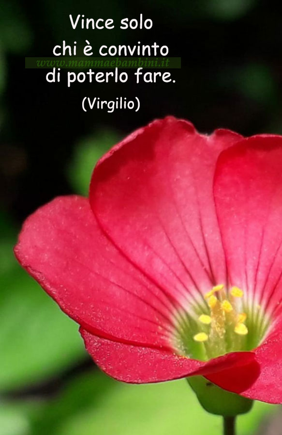 Frase del giorno del 18 gennaio 1 frase vincere