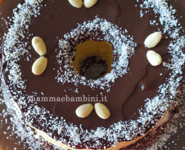 chiffon cake cioccolato e cocco 1