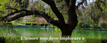 frase del giorno amare