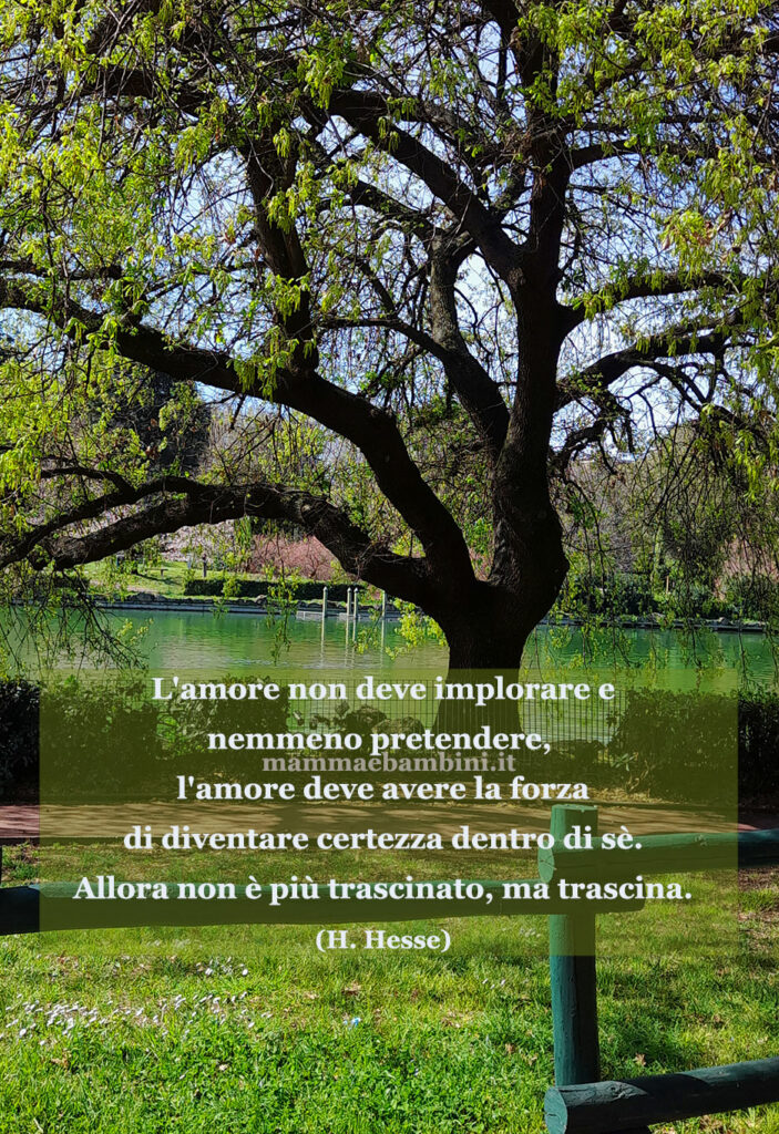 Frase del giorno 9 febbraio sull'amore 1 frase del giorno amare