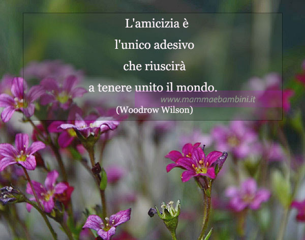 Frase del giorno 28 febbraio sull'amicizia 1 frase del giorno amicizia 2