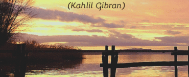 frase del giorno amore