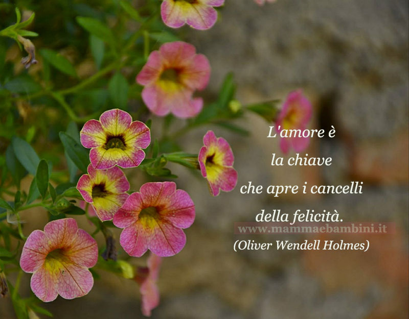 Frase del giorno 11 febbraio sull'amore 1 frase del giorno amore 4