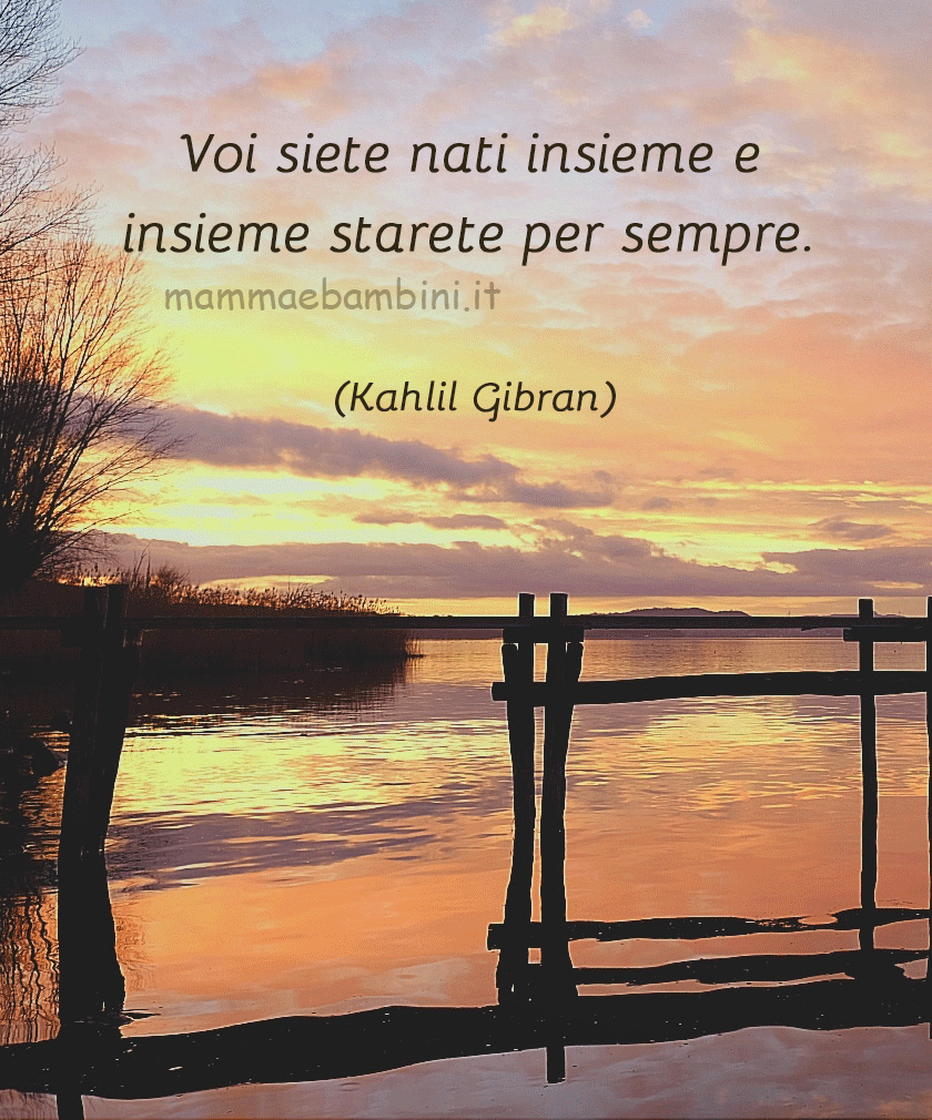 Frase del giorno 12 febbraio sulla vita 1 frase del giorno amore