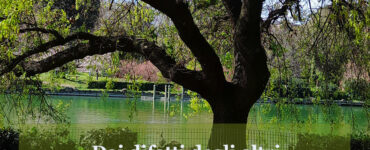 Frase del giorno 26 febbraio sugli errori 5 frase del giorno errori