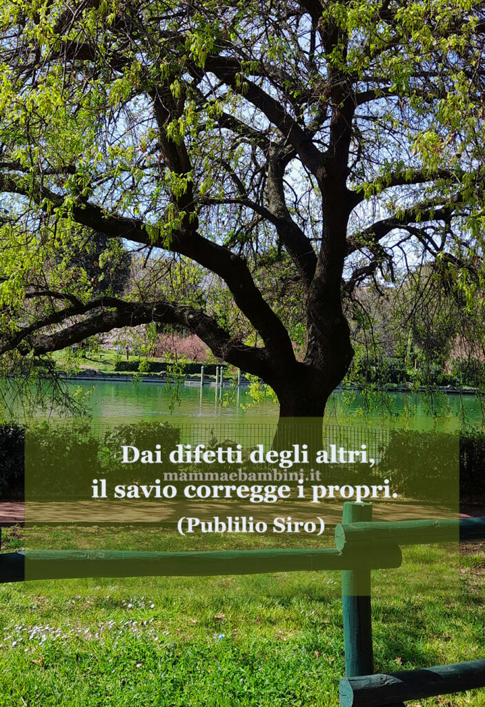 Frase del giorno 26 febbraio sugli errori 1 frase del giorno errori