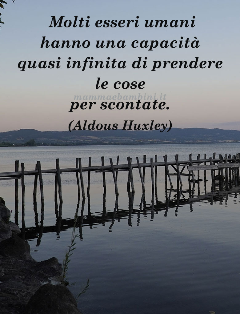 frase del giorno gratitudine