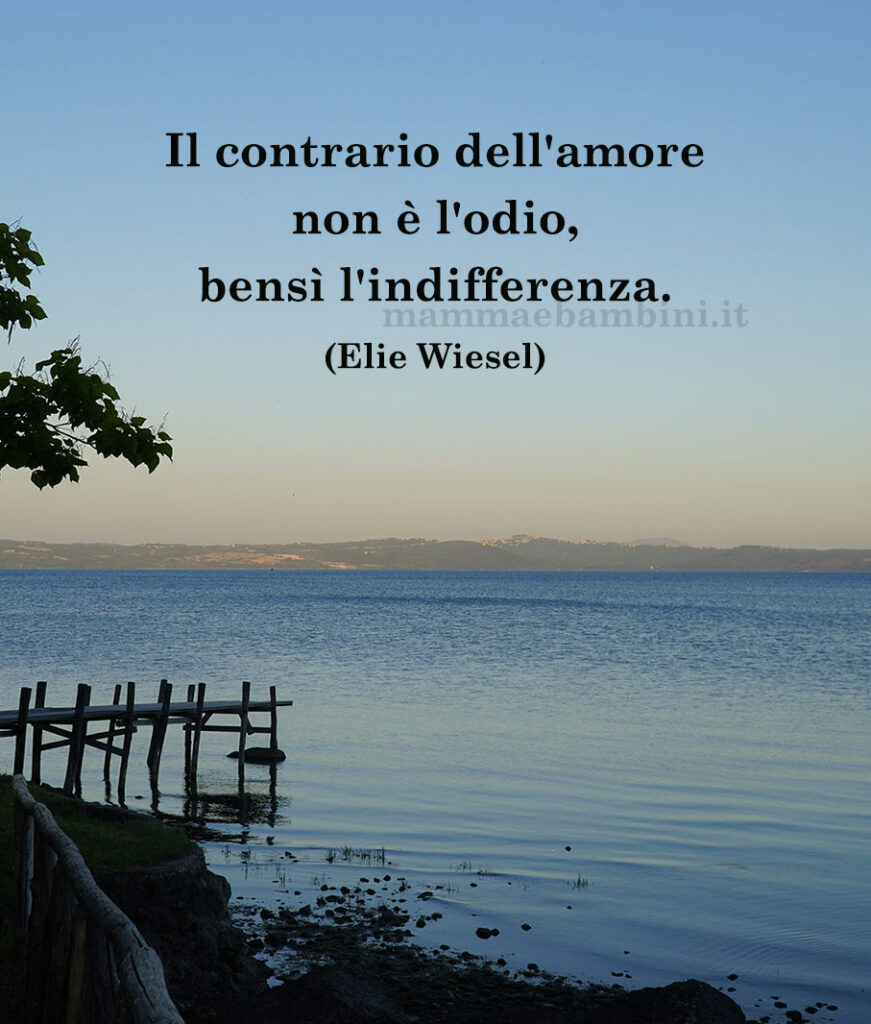 Frase del giorno 3 gennaio sull'odio 1 frase del giorno odio