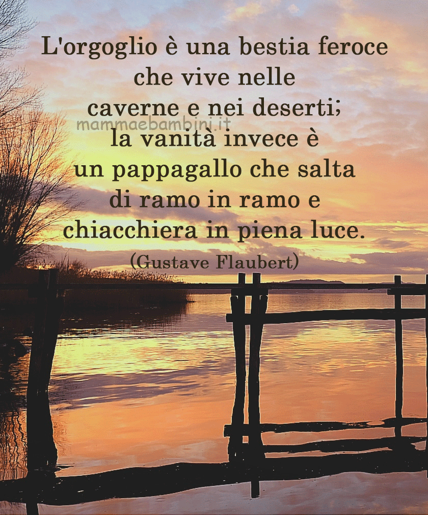 Frase del giorno 22 febbraio sull'orgoglio 1 frase del giorno orgoglio