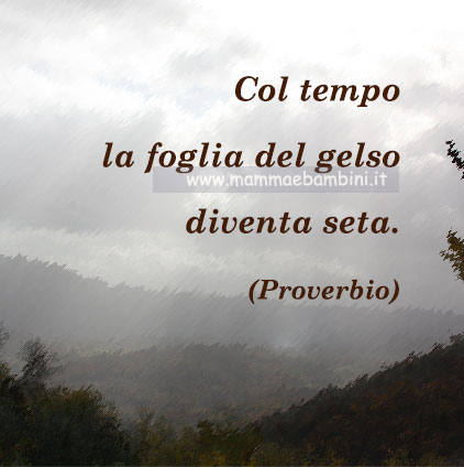 frase del giorno pazienza