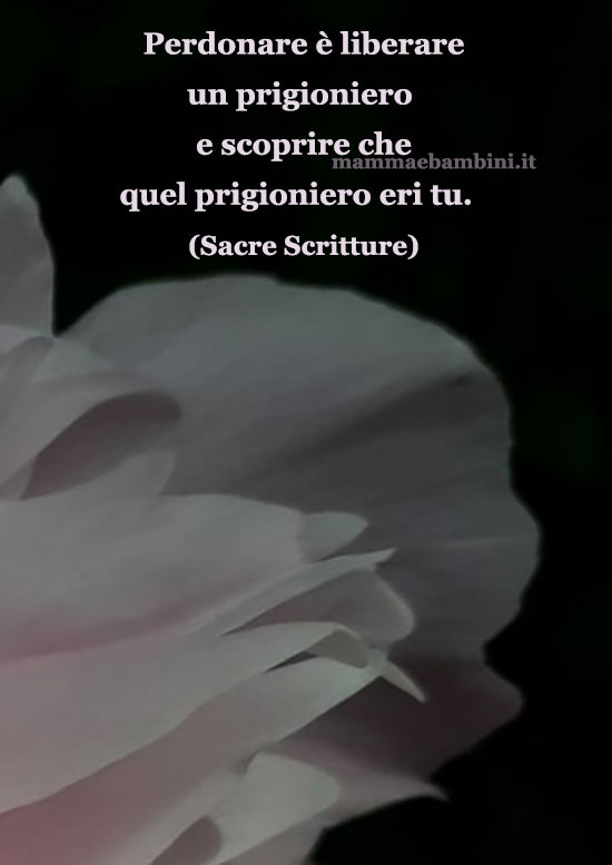 Frase del giorno 16 febbraio sul perdono 1 frase del giorno perdonare