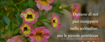 frase del giorno solitudine