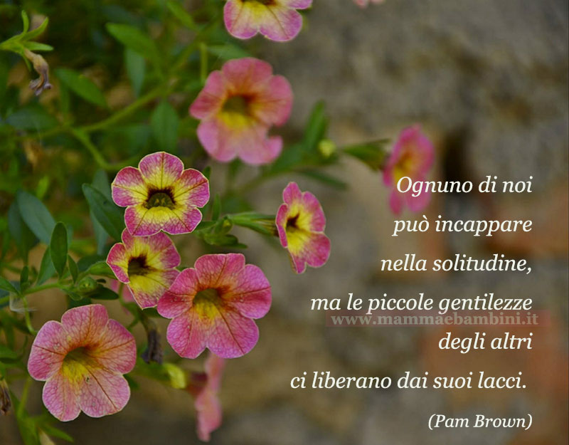 frase del giorno solitudine