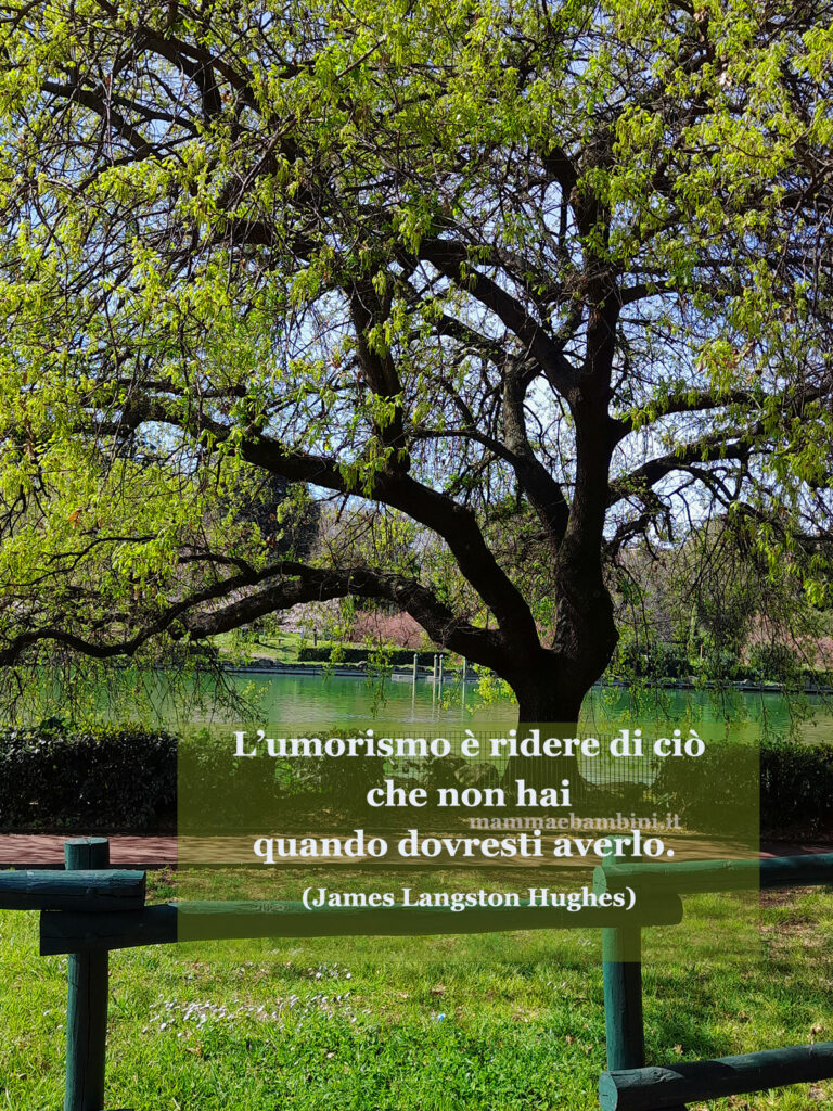 Frase del giorno 8 febbraio su umorismo 1 frase del giorno umorismo