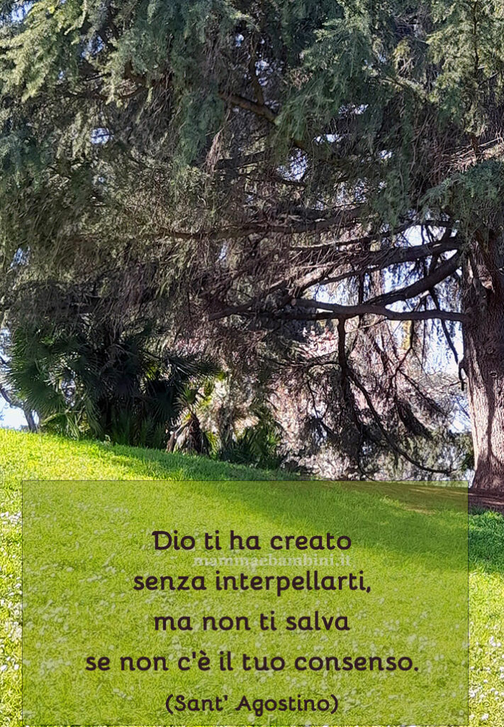 Frase del giorno 26 febbraio 1 frase del giorno vita 5