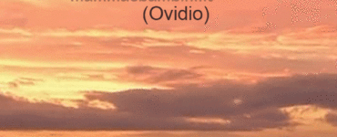 frase del giorno volonta