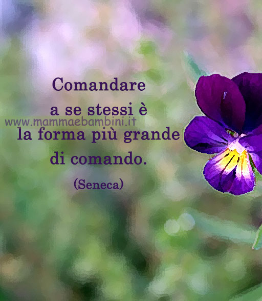 Frase del giorno 22 marzo su comandare 1 frase del giorno comandare