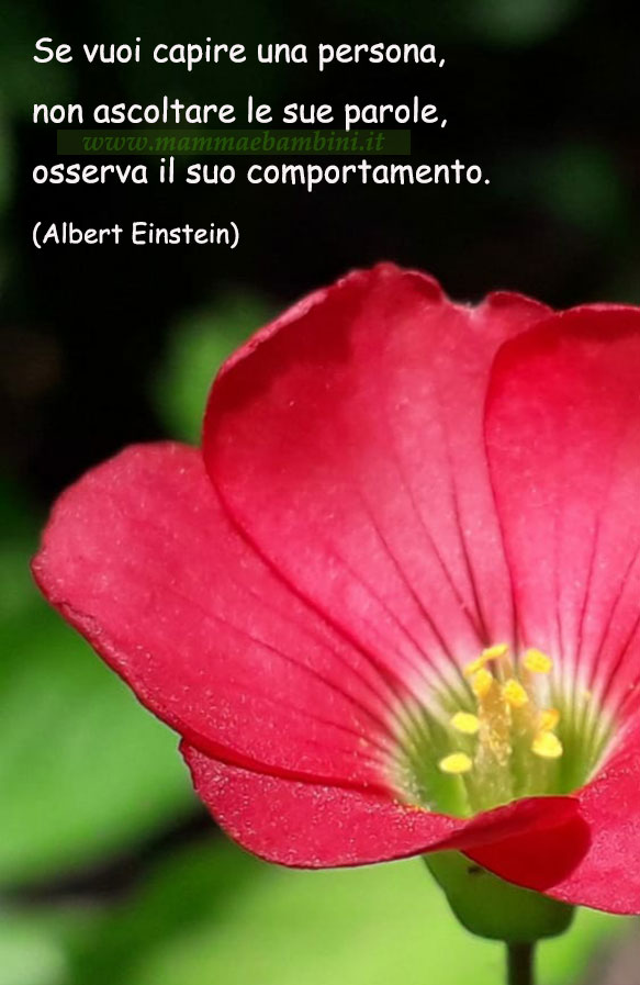 Frase del giorno 28 marzo su capire una persona 1 frase del giorno comportamento 3