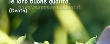 frase del giorno difetti