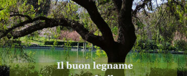 frase del giorno difficolta 1